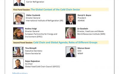 2020 World Refrigeration Day – International Webinar: Cold Chain 4 Life